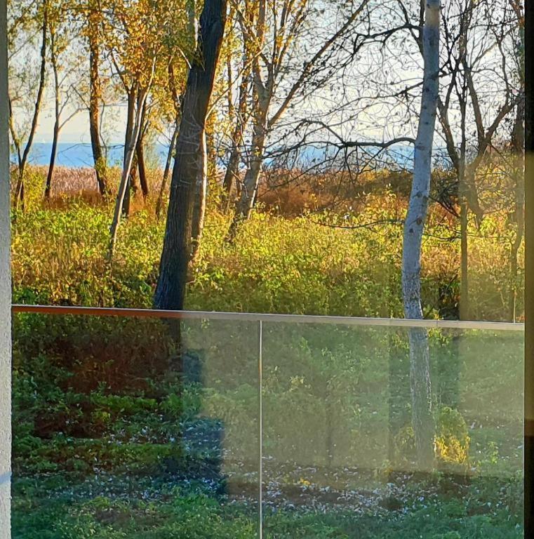 Blue4 Apartment Balatonfůzfő Dış mekan fotoğraf